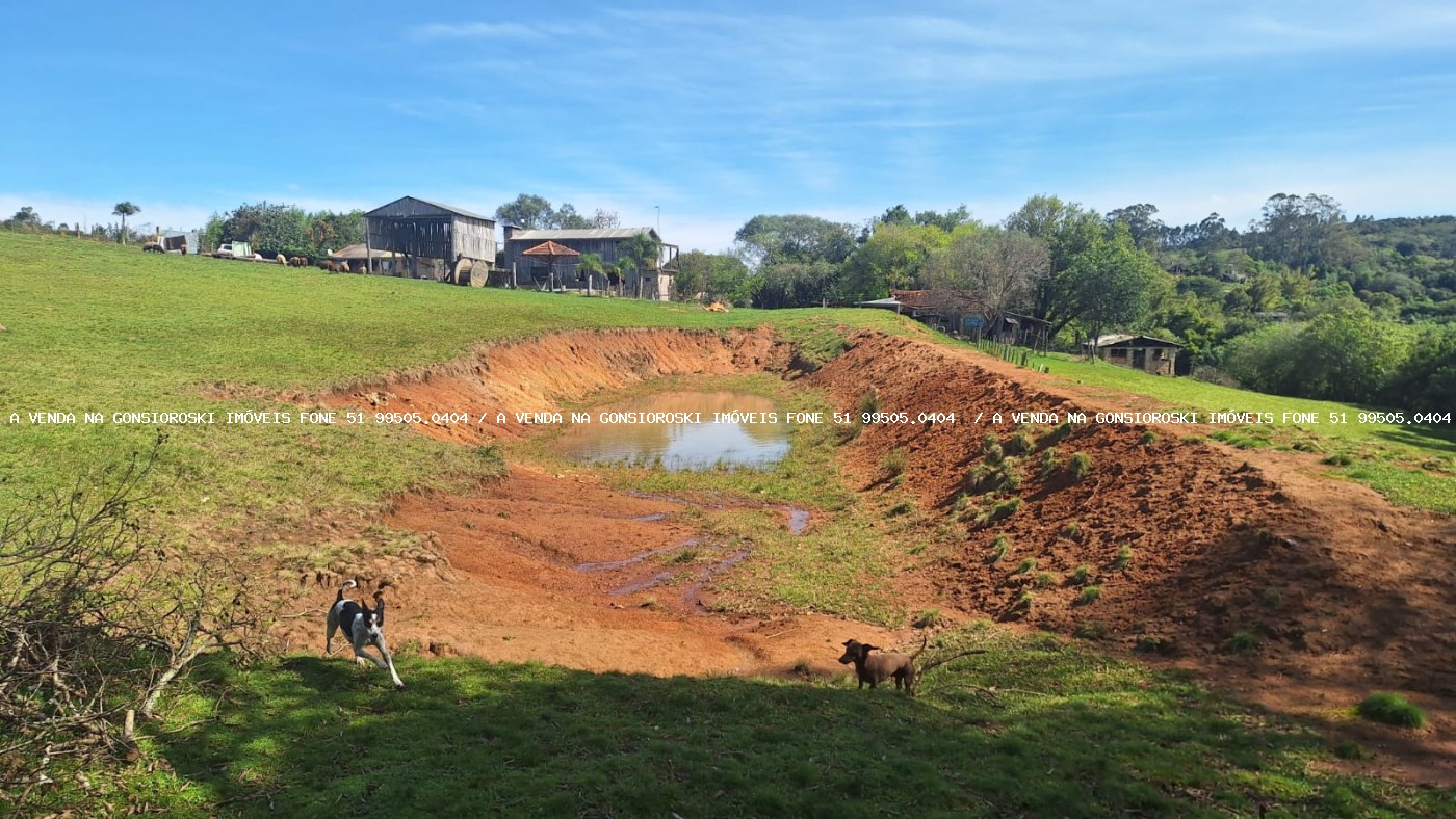 Fazenda, 2 hectares - Foto 17