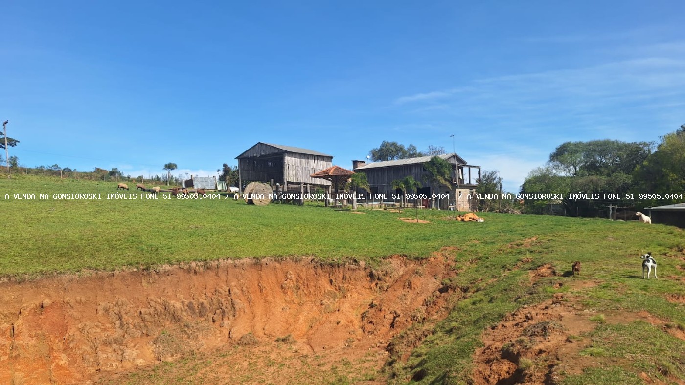 Fazenda, 2 hectares - Foto 18