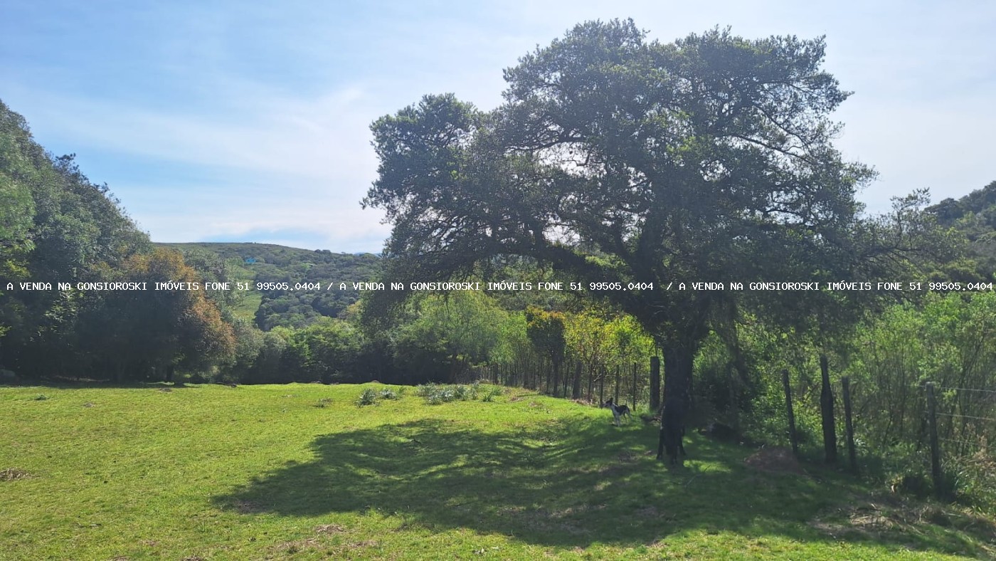 Fazenda, 2 hectares - Foto 16