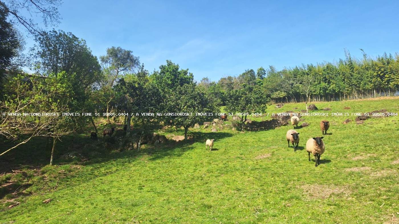 Fazenda, 2 hectares - Foto 19