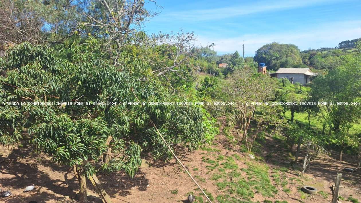 Fazenda, 2 hectares - Foto 21