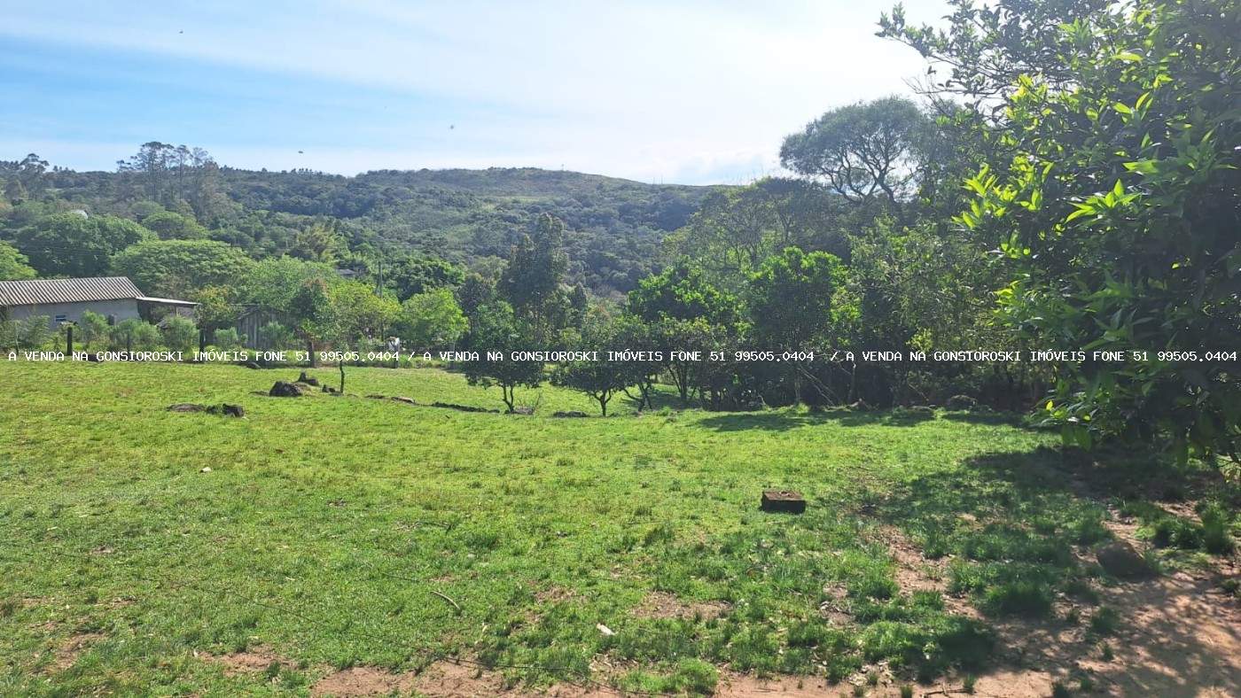 Fazenda, 2 hectares - Foto 22