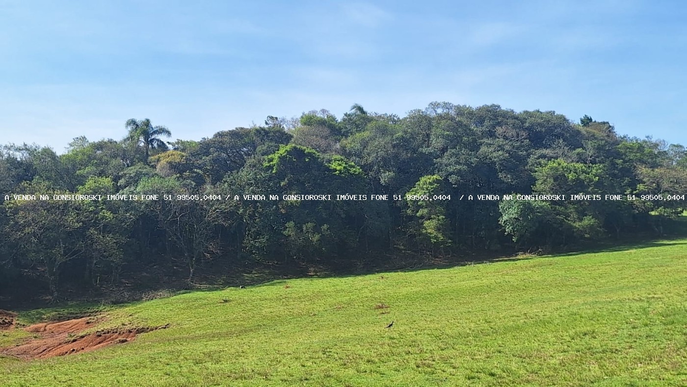 Fazenda, 2 hectares - Foto 23